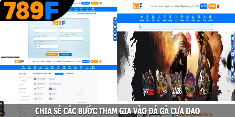 Chia sẻ các bước tham gia vào đá gà cựa dao