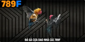 Đá Gà Cựa Dao - Khám Phá Luật Chơi Đơn Giản Từ 789F