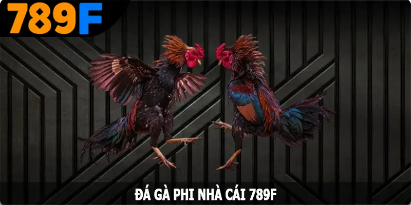 Đá Gà Phi – Hình Thức Cá Cược Hấp Dẫn Hàng Đầu Tại 789F