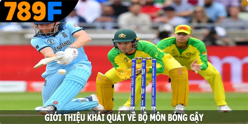 Giới thiệu khái quát về bộ môn bóng gậy nổi tiếng Giới thiệu khái quát về bộ môn bóng gậy nổi tiếng