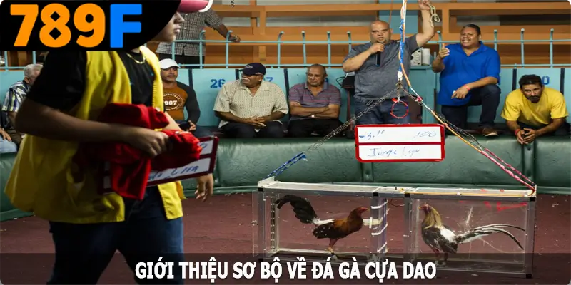 Giới thiệu sơ bộ về đá gà cựa dao