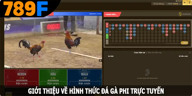 Giới thiệu về hình thức đá gà Phi trực tuyến
