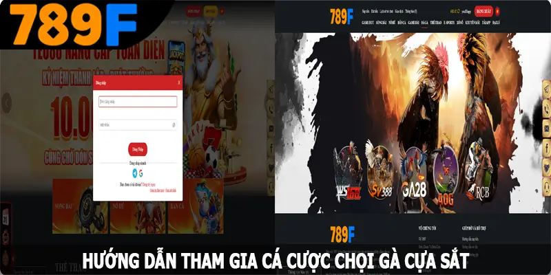 Hướng dẫn tham gia cá cược chọi gà cựa sắt tại 789F