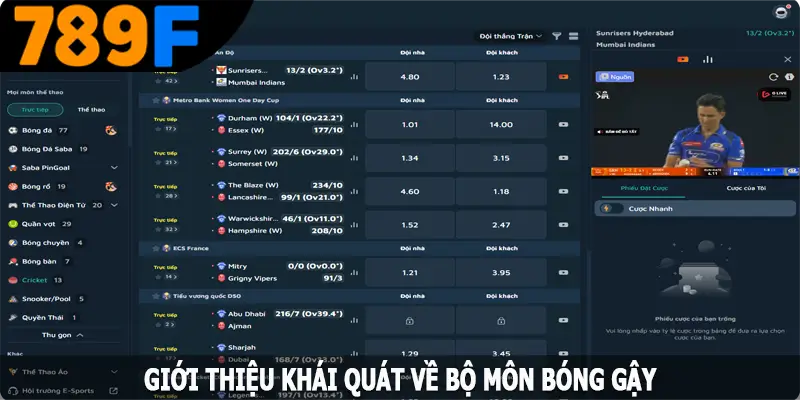 Luật chơi và dự đoán kết quả bóng gậy chi tiết Luật chơi và dự đoán kết quả bóng gậy chi tiết