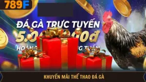 Khuyến Mãi Thể Thao Đá Gà - Ưu Đãi Khủng, Quà Tặng Hấp Dẫn