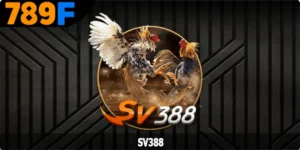 SV388 - Sân Chơi Chọi Kê Nổi Tiếng Nhất Năm 2025