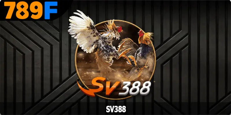SV388 – Sân Chơi Chọi Kê Nổi Tiếng Nhất Năm 2025