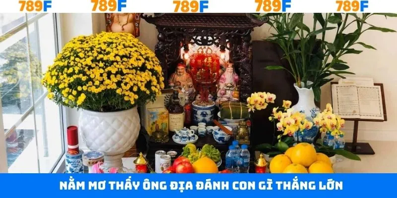 Nằm mơ thấy ông địa đánh con gì thắng đậm