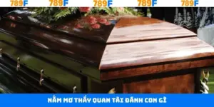 Nằm Mơ Thấy Quan Tài Đánh Con Gì Trúng Đậm Tại 789F