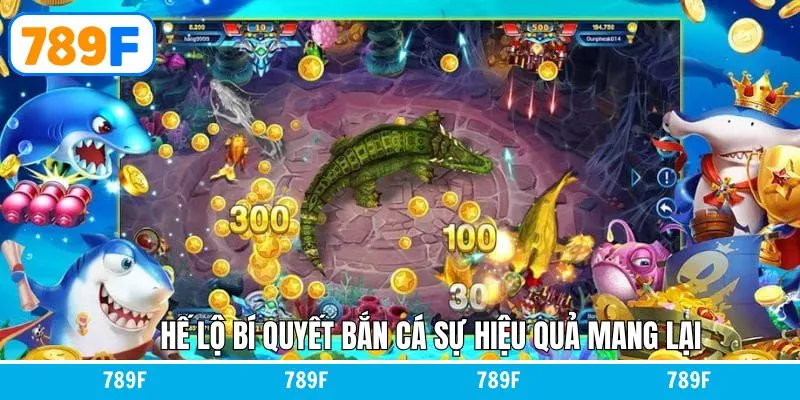 Sự hiệu quả của bí quyết săn cá