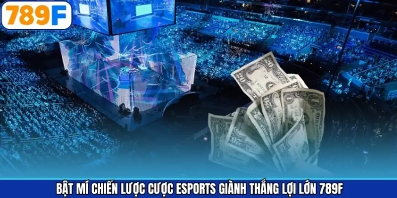 Bật mí chiến lược cược Esports giành thắng lớn