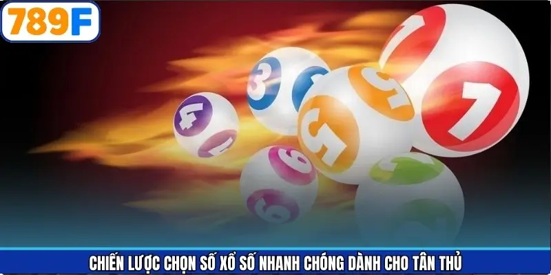Chiến Lược Chọn Số Xổ Số Nhanh Chóng Dành Cho Tân Thủ