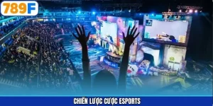 Chiến lược cược esports