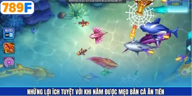 Ưu điểm của việc hiểu rõ các mẹo săn cá ăn tiền